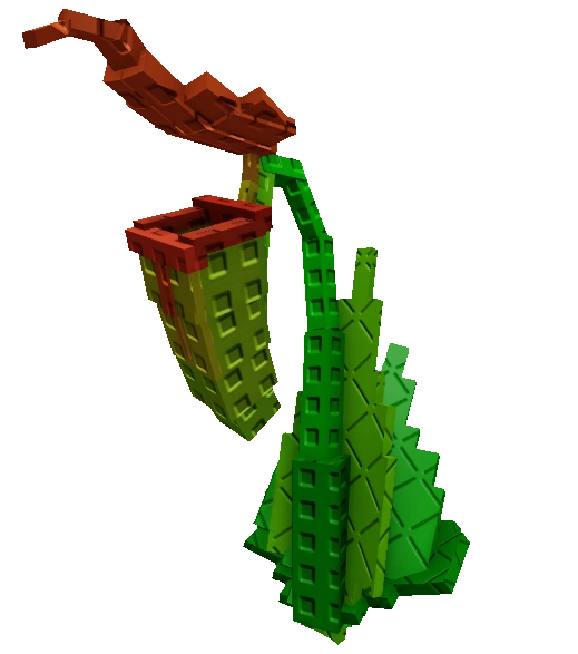 Pitcher Plant