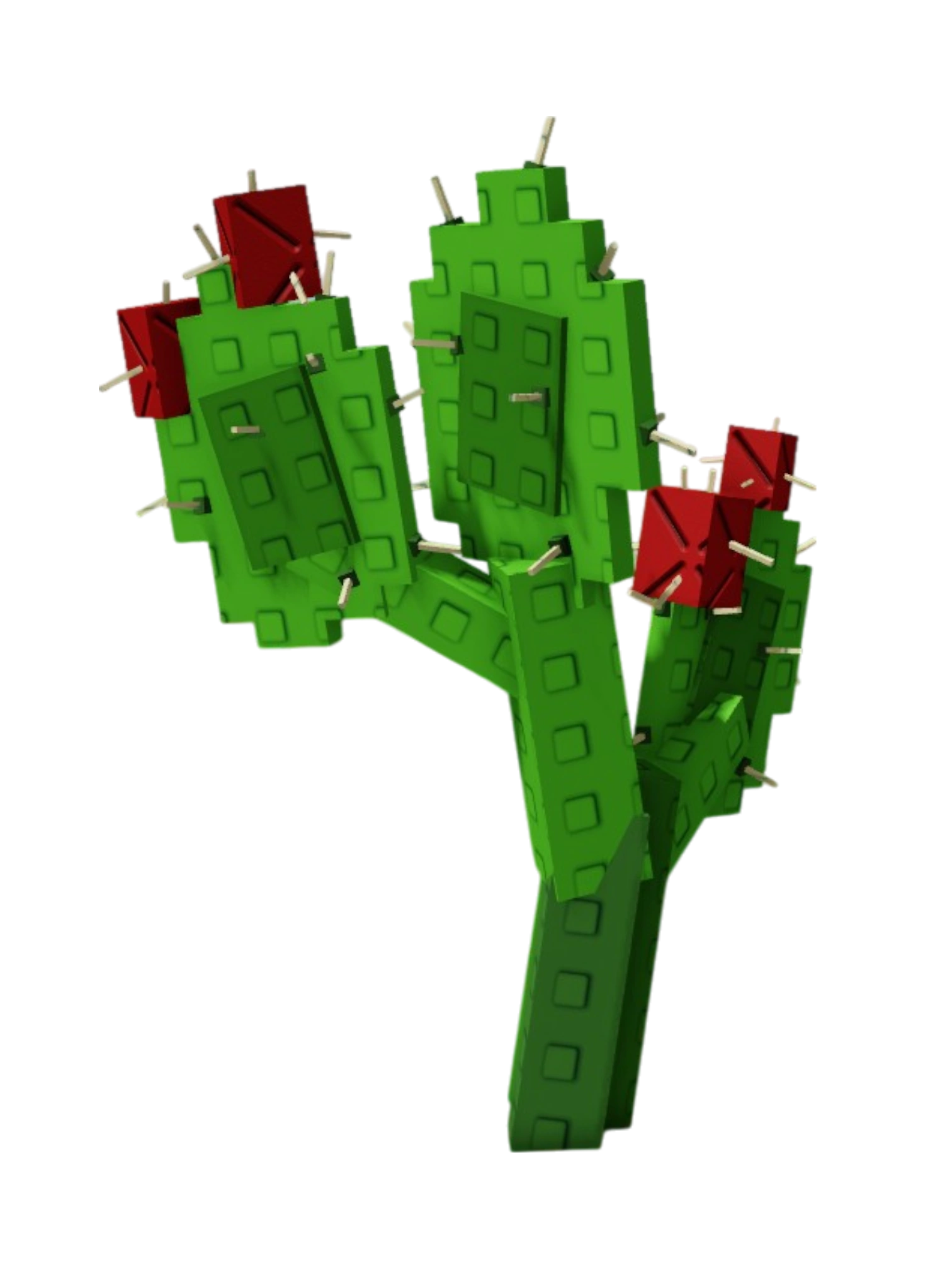 Prickly Pear