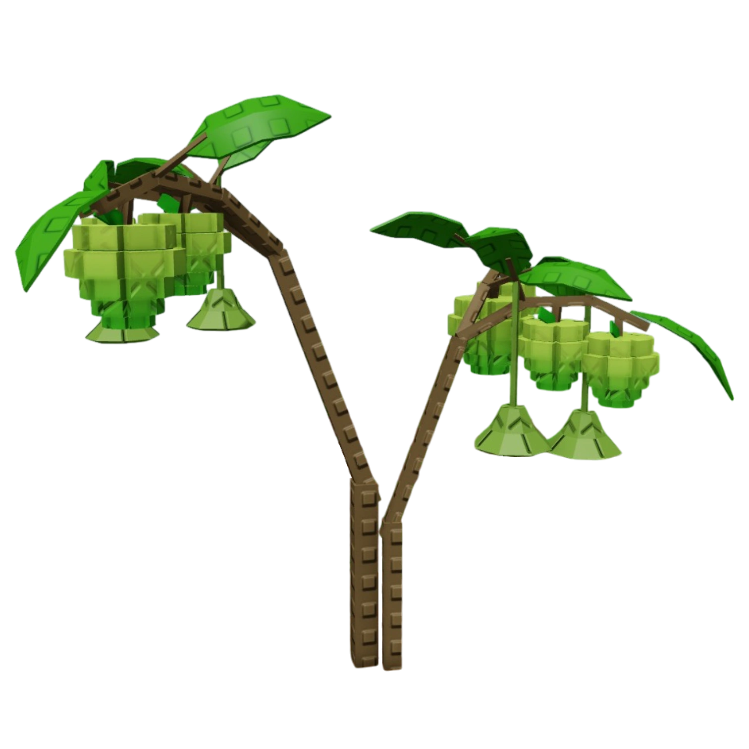 Sugar Apple