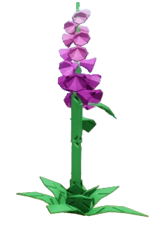 Foxglove