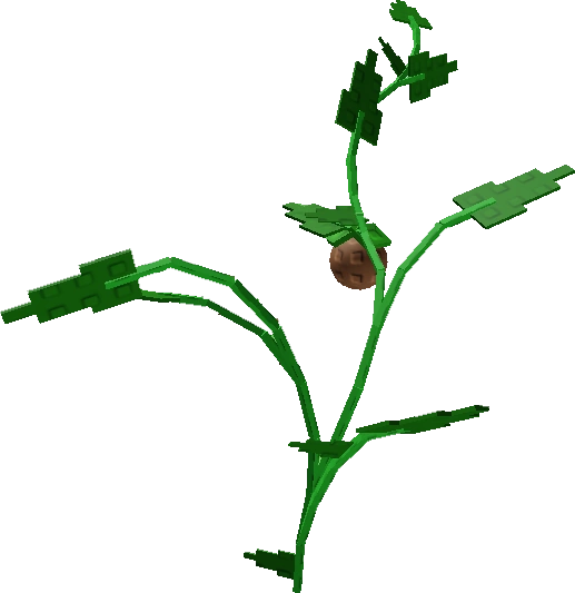 Cocovine