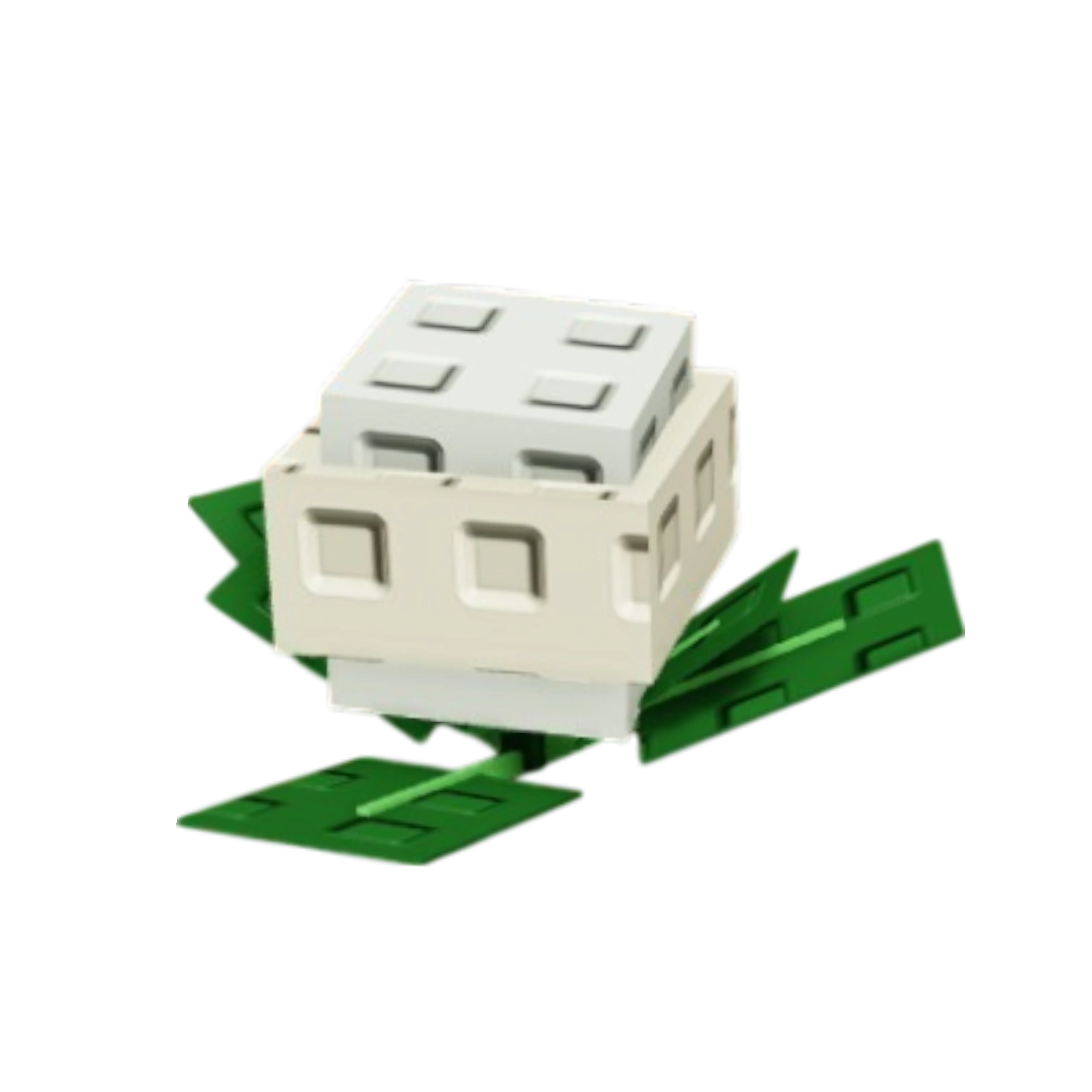 Cauliflower