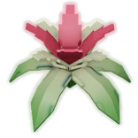 BananaOrchidProduce