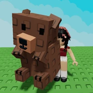 A player holding the Grizzly Bear pet.