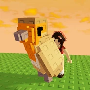 Robinn.png (261 KB) A player holding the Robin pet.