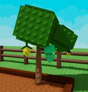 Lemon tree with Rainbow lemon