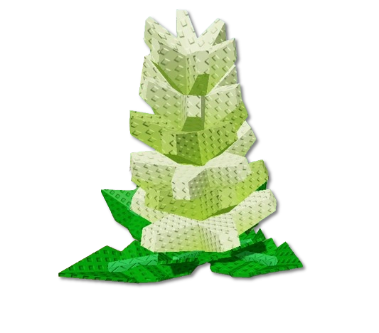 Romanesco