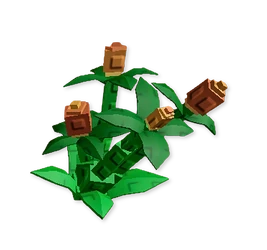 HazelnutPlant