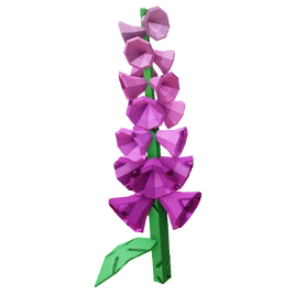 Foxglove