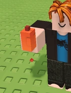 A Player holding a Blood Orange Seed.