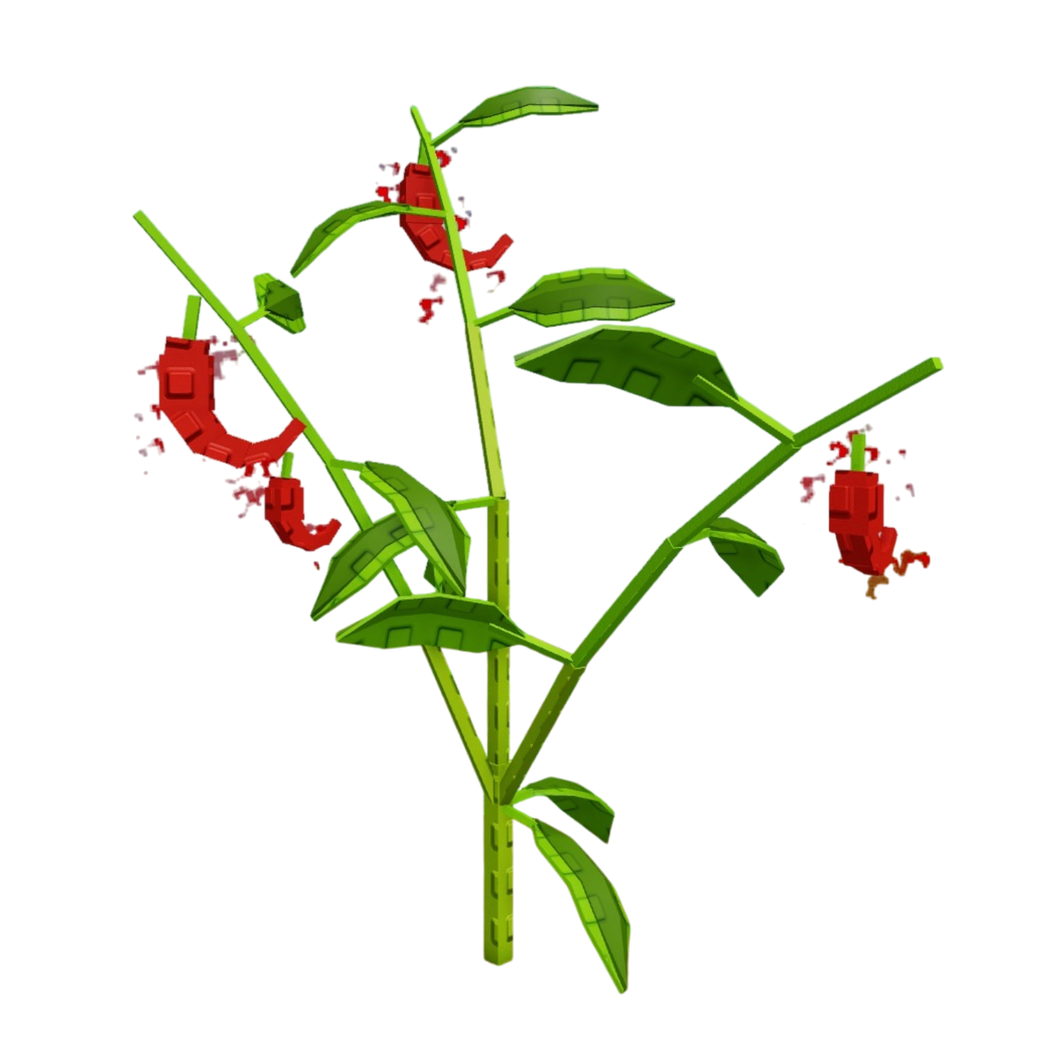 Pepper