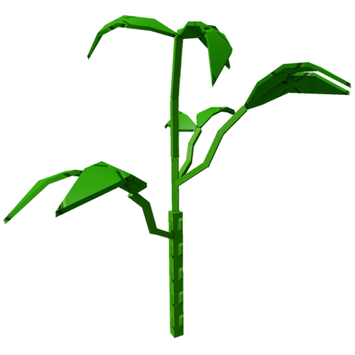 Bell Pepper