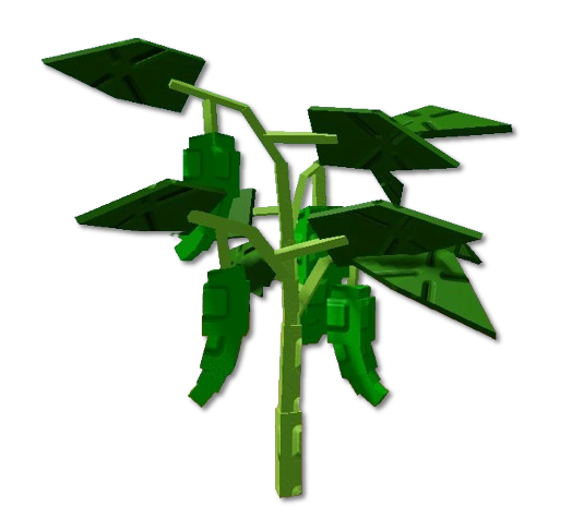 Jalapeno