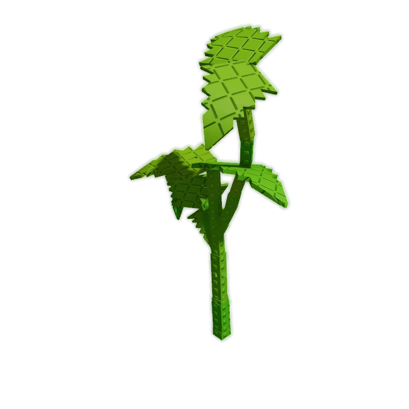 Ghost Pepper Plant