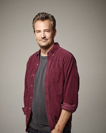Matthew Perry Growing Pains Wiki Fandom