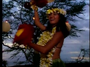 Aloha P2-18.png (507 KB)