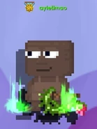 A player whose Adventurer's Whip is transformed by an Ancestral Seed of Life : Level 2.