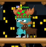 Moose cap.png (21 KB) A player equipping a Moose Cap