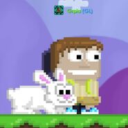 A player wearing the Pet Bunny