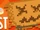 Harvest Festival/2022