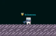 Kanji Scarf.gif (2.67 MB) A player wearing the Kanji Scarf