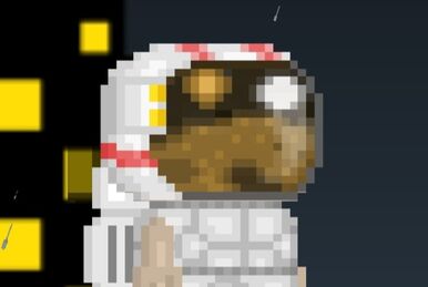 Growtopia black best sale espadrille