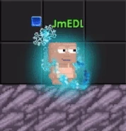 A player wearing the Winter Radiance Aura.