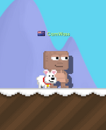 A player equipping a Polar Bear Leash.