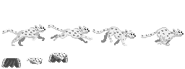 Snow Leopard Shawl | Growtopia Wiki | Fandom