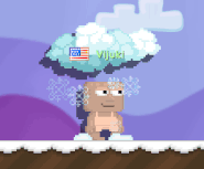 1358 %t.gif (1.52 MB) A player with the Snow Aura equipped