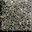 32?format=webp&fill=cb-20250807142426