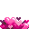 32?format=webp&fill=cb-20220818083041