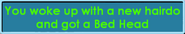 The chat message displayed when one obtains a Bed Head