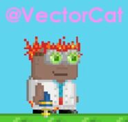 An image of @VectorCat.