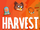 Harvest Festival/2021