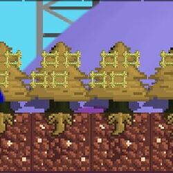 Wooden platform growtopia clearance