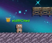 Eivor.gif (2.88 MB) A player wearing the Eivor