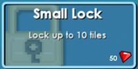 Small lock.jpg