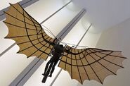 Real Da Vinci Wings.jpg (120 KB) A representation of what the wings would have looked like in real life