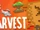 Harvest Festival/2017