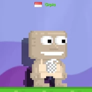 Pinea.jpg (28 KB) A player wearing the Super Logo - Pineapple