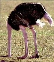 Verità tenta di nascondersi, nel modo più semplice, dall'Arbiter