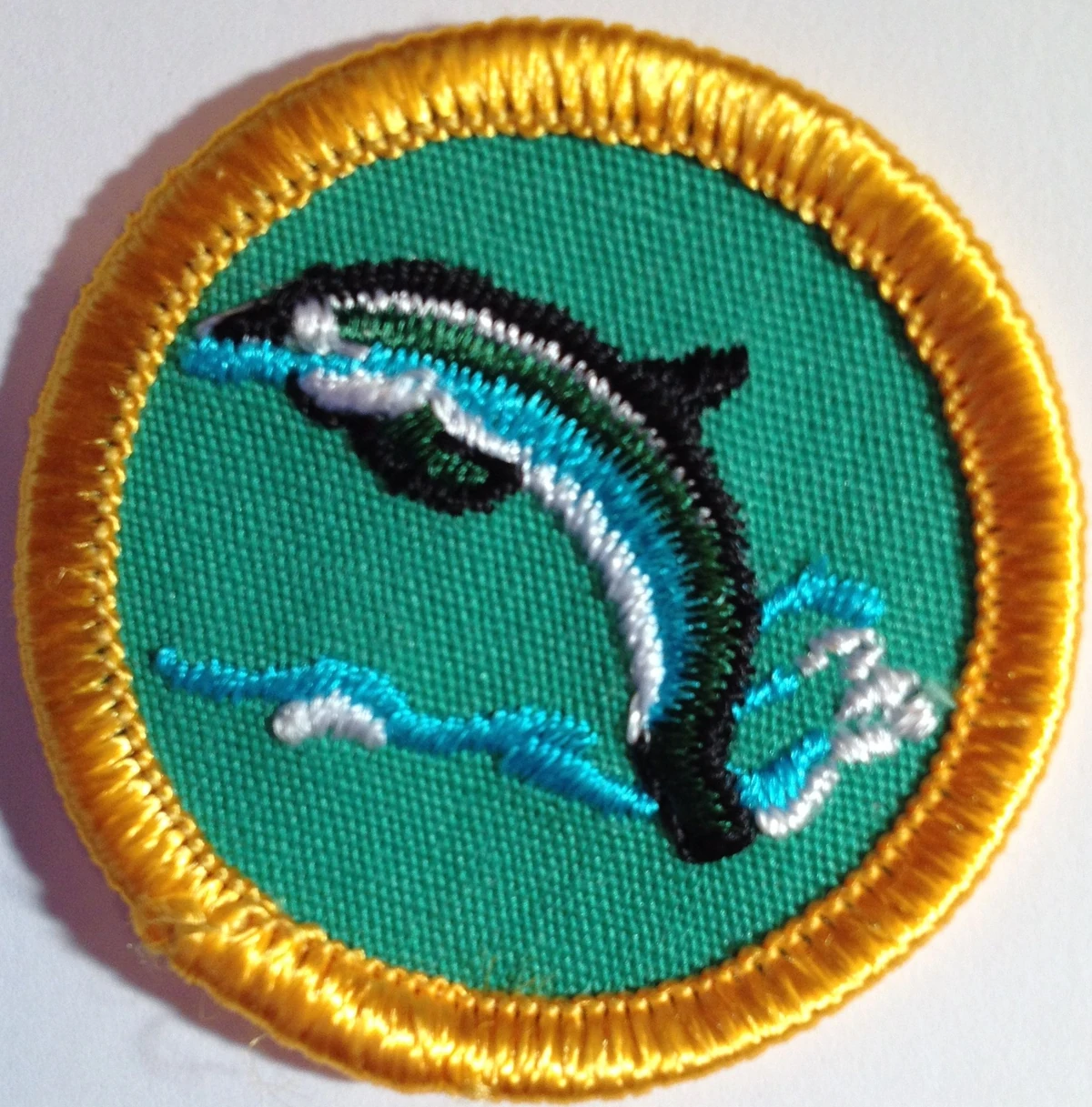 Saltwater Badge Girl Scouts Council's Own Awards Wikia Fandom