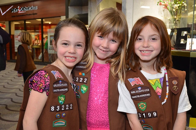 Category:Girl Scout Brownies | Girl Scouts Council's Own Awards Wikia ...
