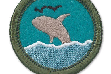 Scouting/BSA/Fly Fishing Merit Badge - Wikibooks, open books for an open  world
