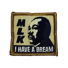22c6f2b44132e69856d71f1c4758055b--i-have-a-dream-girl-scouts.jpg