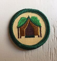 Retired-Girl-Scout-2001-2011-Junior-CAMP-TOGETHER-BADGE.jpg