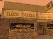 NiceBuns