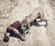Cougar killing Trevor