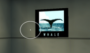 "Whale tail" Easter egg.